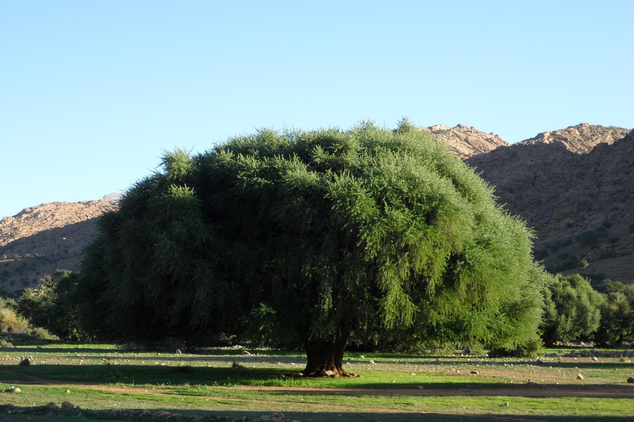 תפראוט Auberge Kasbah Chez Amaliya מראה חיצוני תמונה